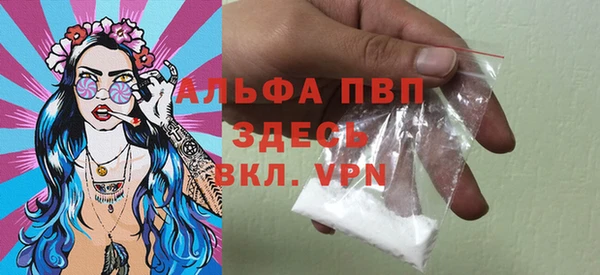 ПСИЛОЦИБИНОВЫЕ ГРИБЫ Белокуриха