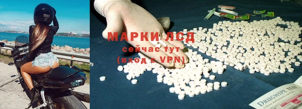 ПСИЛОЦИБИНОВЫЕ ГРИБЫ Белокуриха