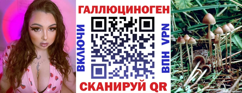 Псилоцибиновые грибы мухоморы  Сланцы 