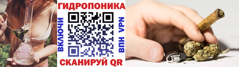 blacksprut маркетплейс  купить наркотики цена  Сланцы  Бошки Шишки SATIVA & INDICA 